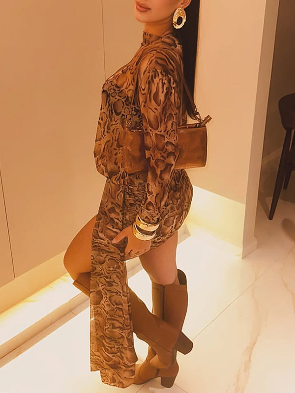 Printed Draped Sheer Dress