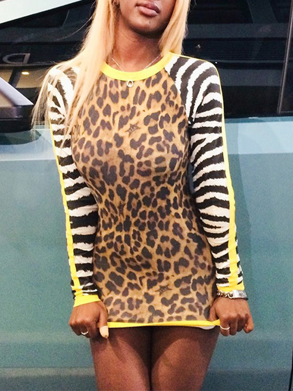Printed Combo Bodycon Dress